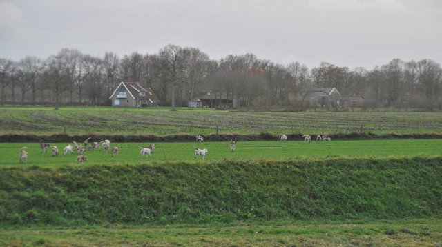 Slipjacht (zaterdag  8 december 2018)